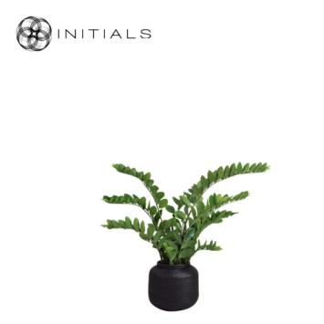 Pot Nature Osier Planter Burma Rattan Black