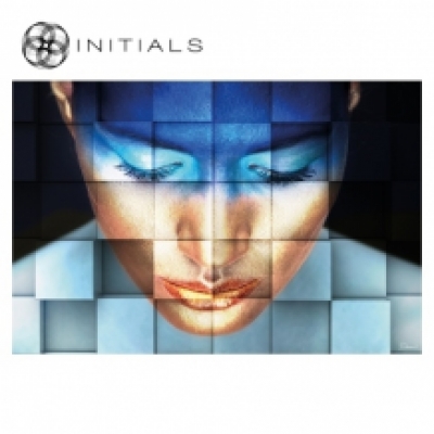 Walldecoration Tableaux Face Blue Sparkel  Matt Aluminum